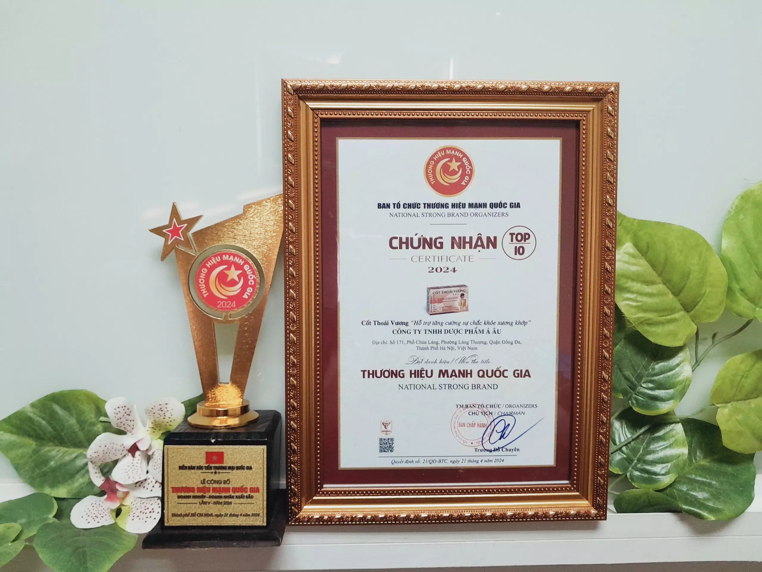 Cup và Bằng khen chứng nhận giải thưởng “Top 10 Thương hiệu mạnh Quốc gia 2024” của TPBVSK Cốt Thoái Vương.webp